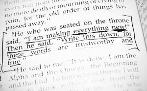 0ae53bc4a25c5334fc5ebf32ad615a0a